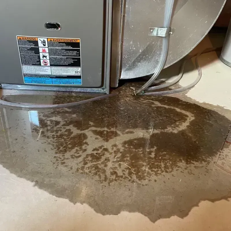 Appliance Leak Cleanup in Dolores County, CO